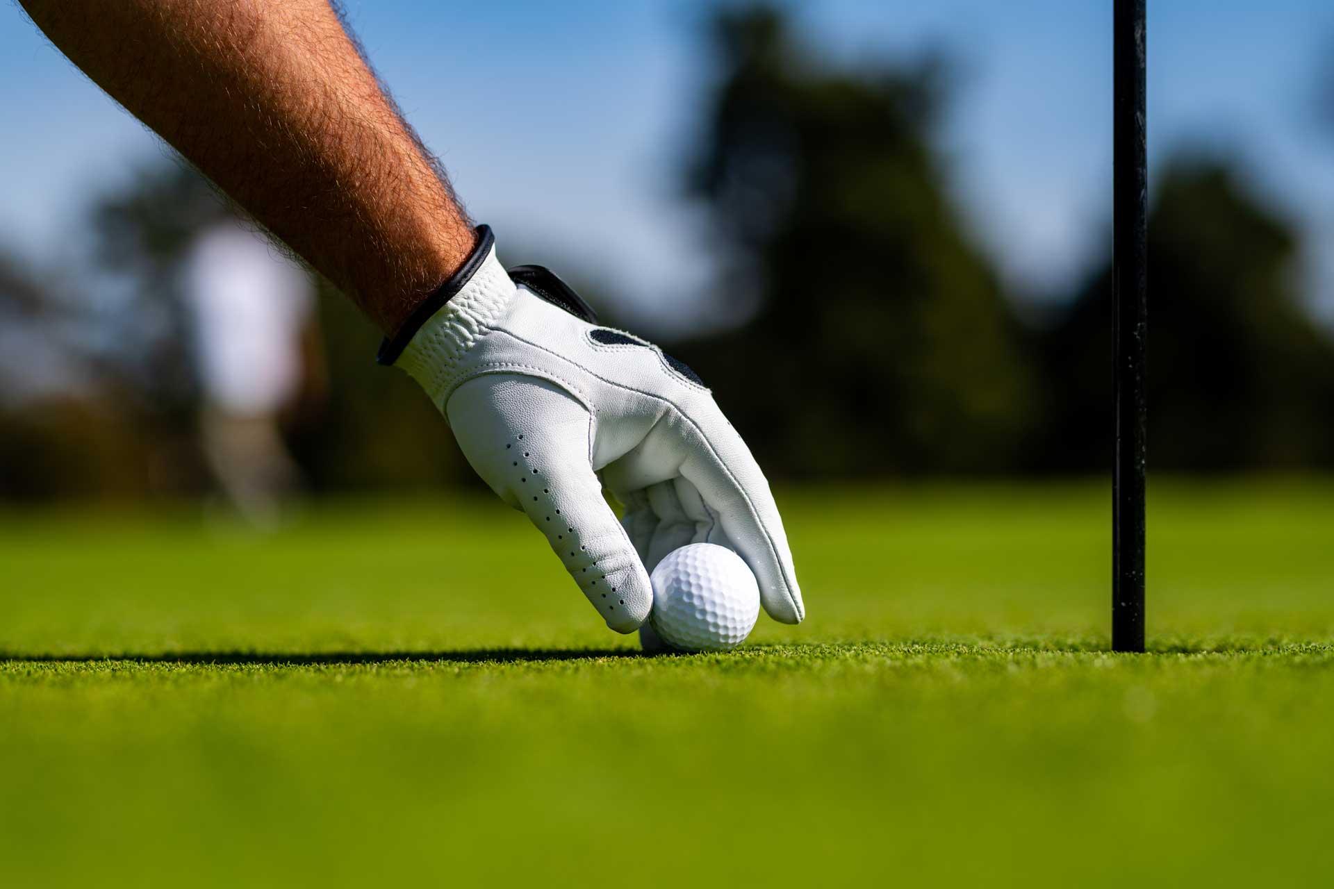 golf2
